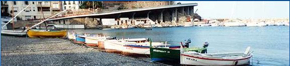 Cerbre est une commune du dpartement des Pyrnes-orientales, arrondissement de Cret. Avec les quatre autres communes du littoral que sont Collioure, Port-Vendres et Banyuls sur Mer, elles constituent le Canton de la Cte Vermeille.