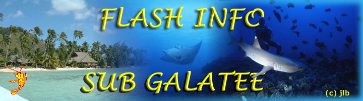 L'information Sub Galatenne subaquatique par Jean-Luc, DiveWebMaster du Sub Galate
