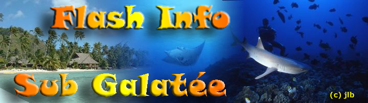 L'information Sub Galatenne subaquatique par Jean-Luc, DiveWebMaster du Sub Galate
