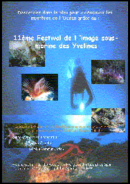 L'afffiche du 11me Festival organis par la Palme Plaisiroise.